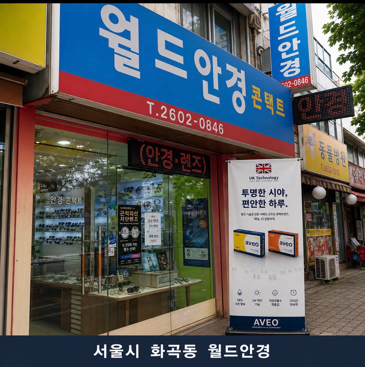 월드안경콘택트 매장 사진